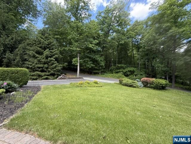 190 Andover Mohawk Road - Photo 5