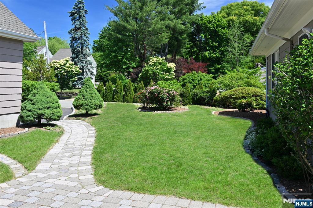 217 Elmwood Avenue — photo 33
