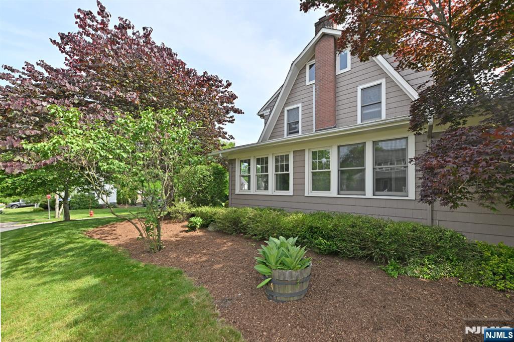 217 Elmwood Avenue — photo 36