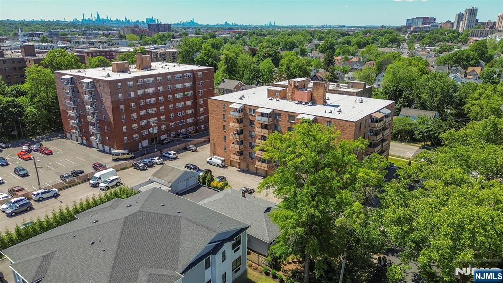 Drone View