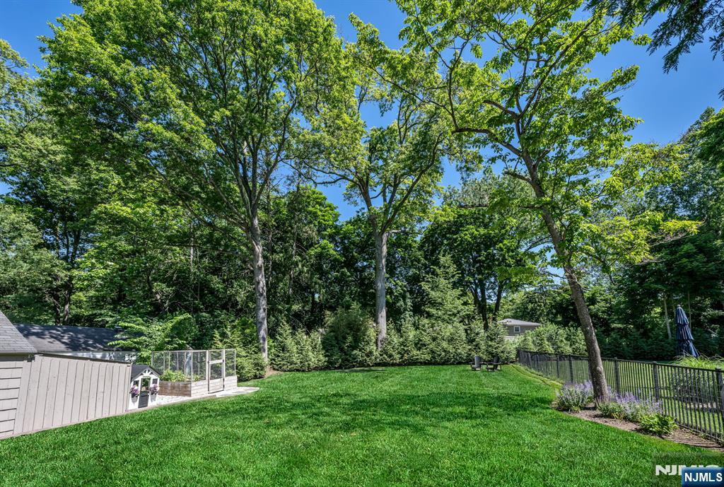 979 Salem Lane - Photo 3