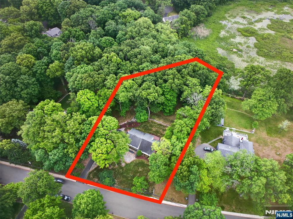 224 Oak Street - Photo 2