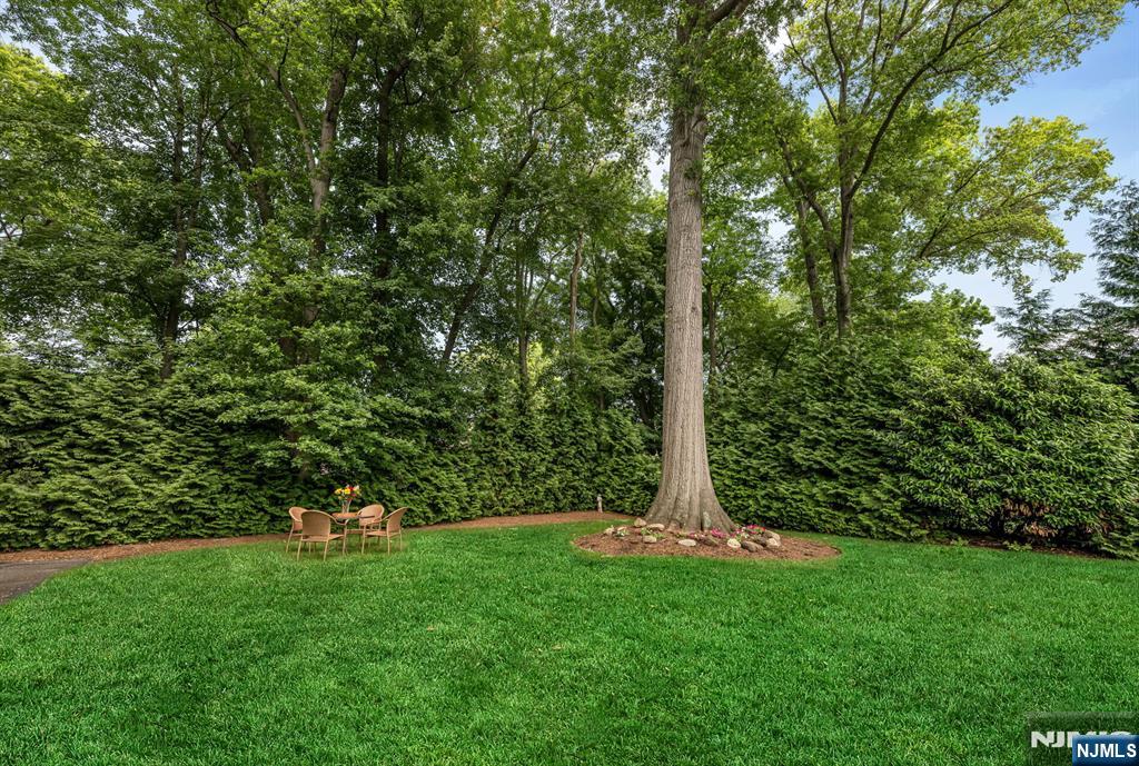 101 Ardmore Road — photo 34