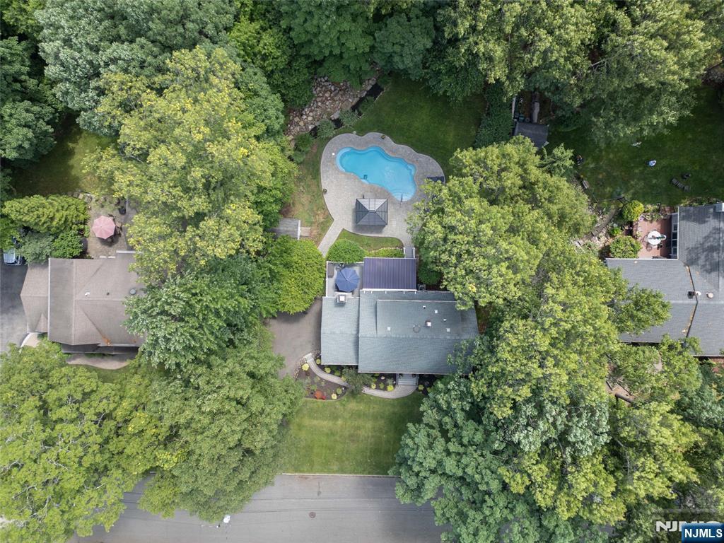 49 Skytop Drive — photo 32