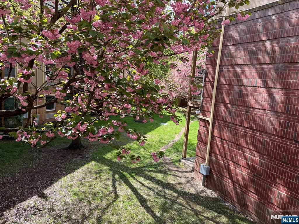 50 Pine 214 - Photo 4