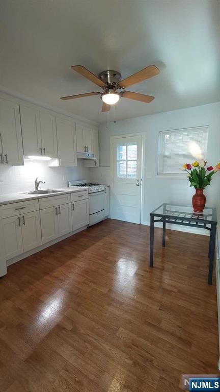 100 1E Clinton Place - Photo 5