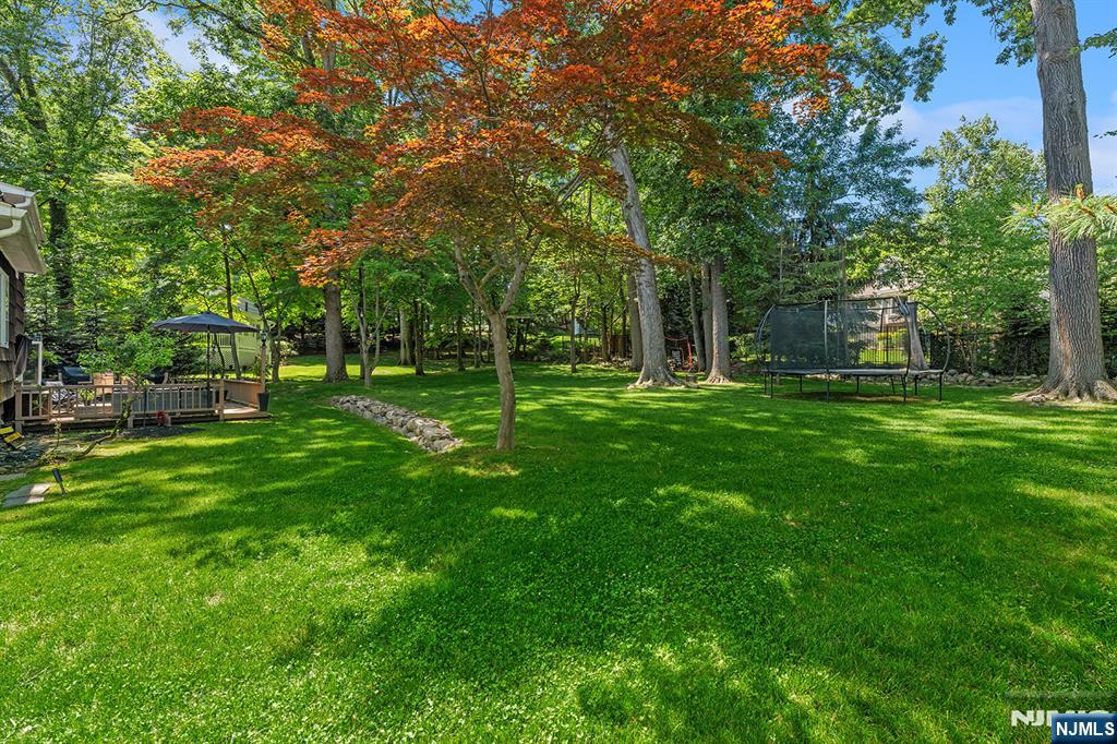 241 Ellin — photo 28