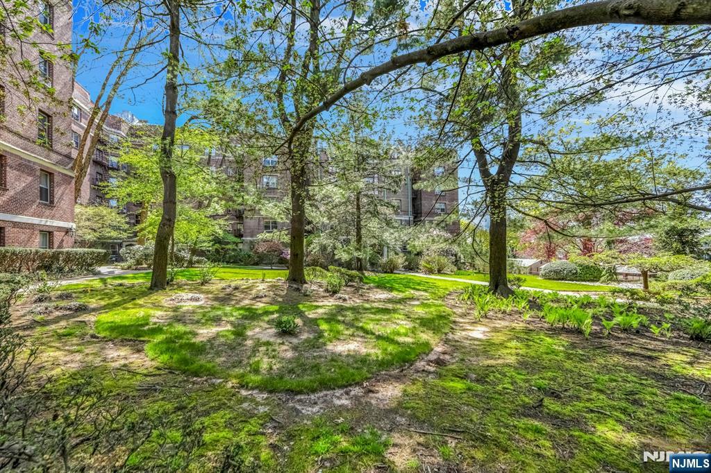 100 E Palisade Ave #A24, Englewood, NJ 07631