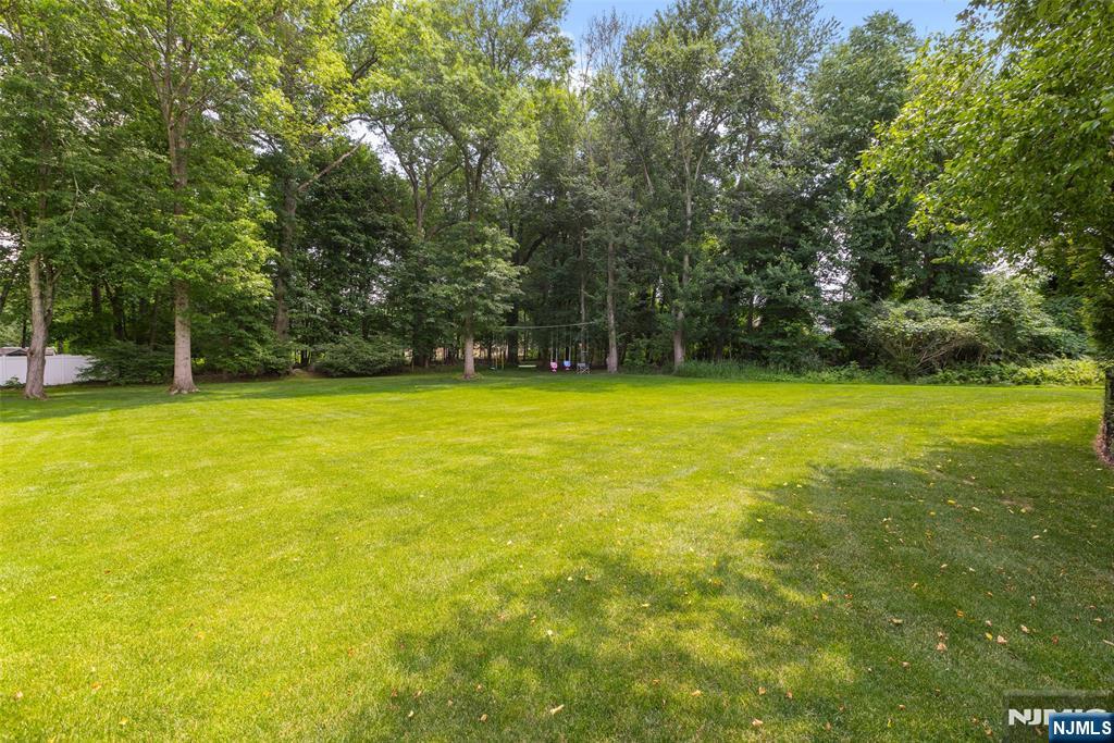 225 Walnut Street — photo 44