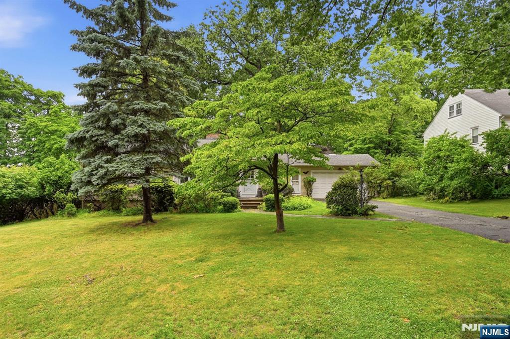 51 Crystal Avenue - Photo 3