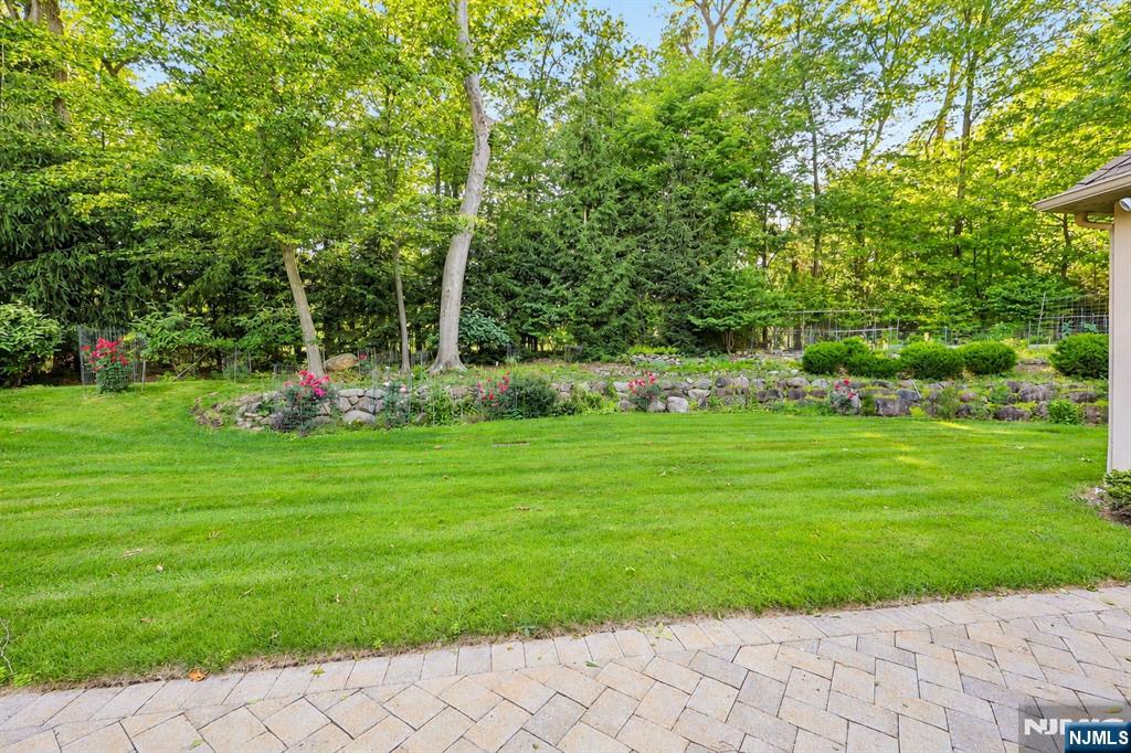 41 Wildwood Road — photo 44