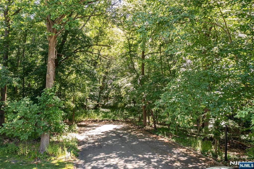 10 Deerfield Drive — photo 6