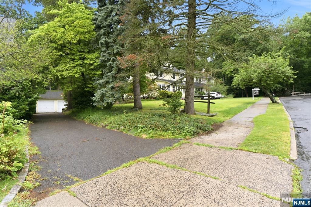 35 Glenside Road — photo 6
