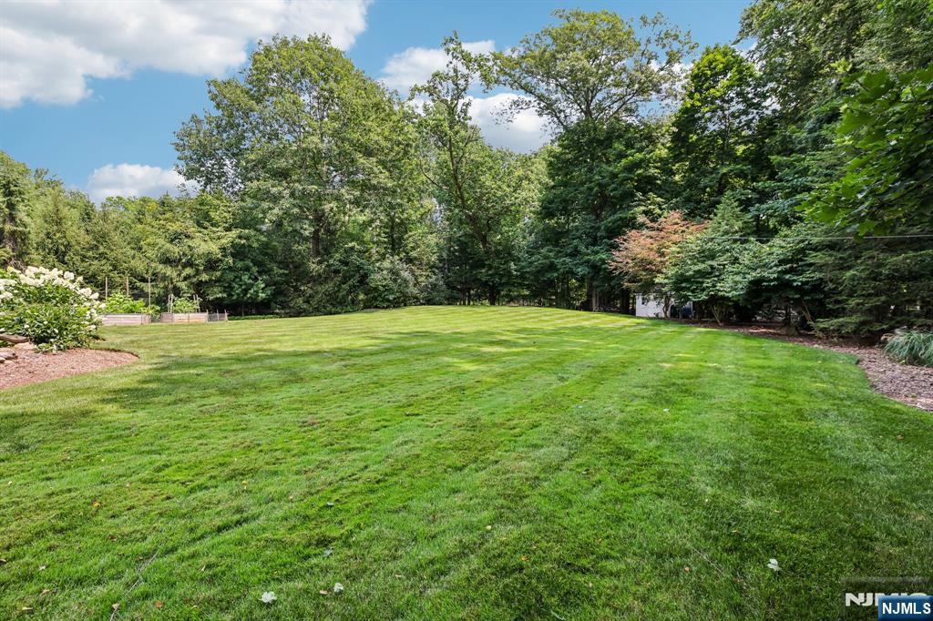 18 Roxbury Downs — photo 41