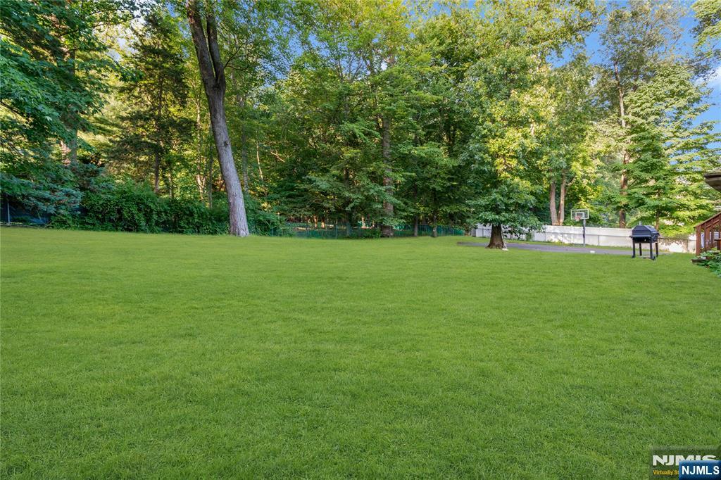 3 Bluefield Court — photo 39