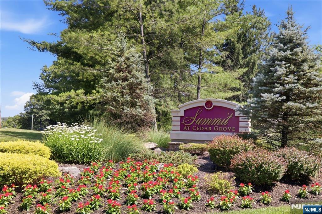 21 Chestnut Court 11 - Photo 2
