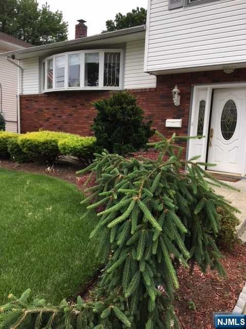 53 Somerville Street - Photo 2