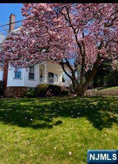 49 Stewart Avenue - Photo 4