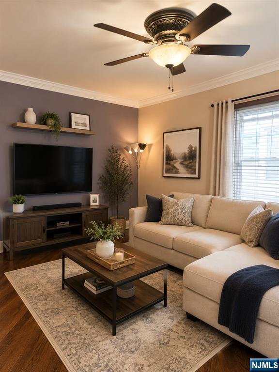 7 William Street - Photo 4