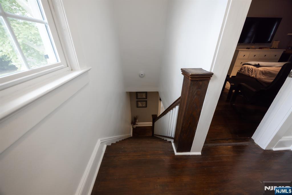 17 Carnation Street