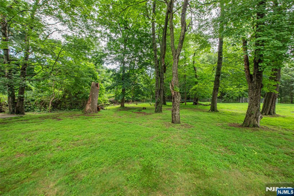 21 Hall Avenue - Photo 2