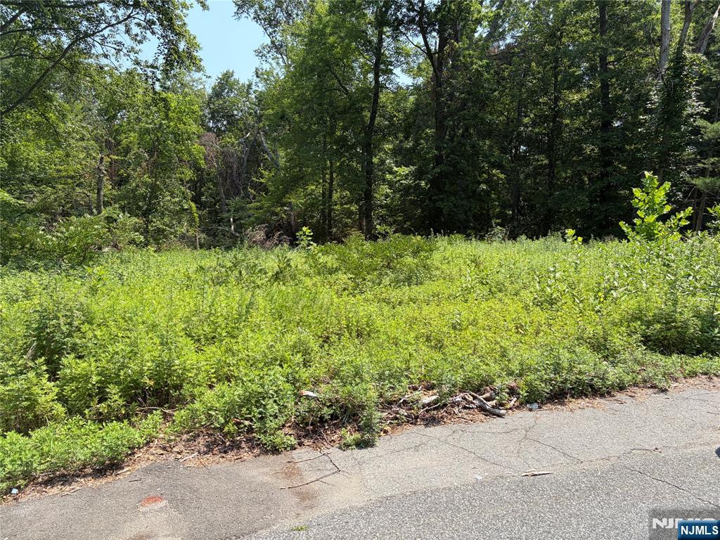 2nd image of 125 Ferri St, Wayne, NJ 07470 | MLS# 26030521