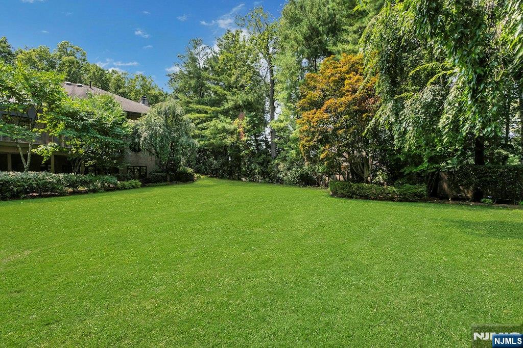 59 Jackson Drive — photo 25