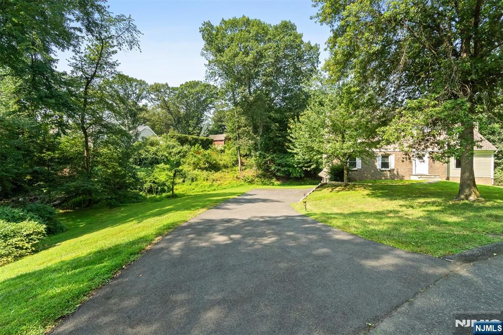 215 Oak Avenue - Photo 4