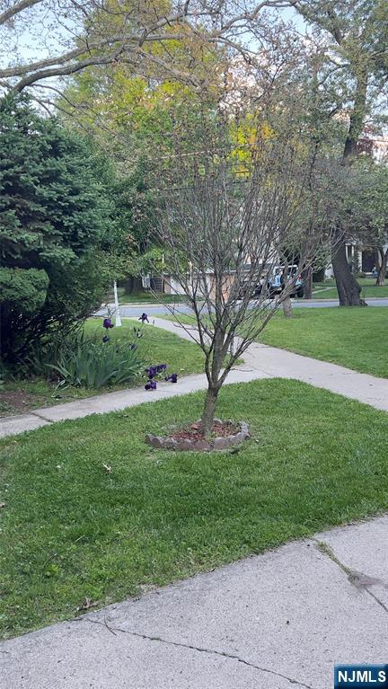 295 Tenafly I - Photo 2