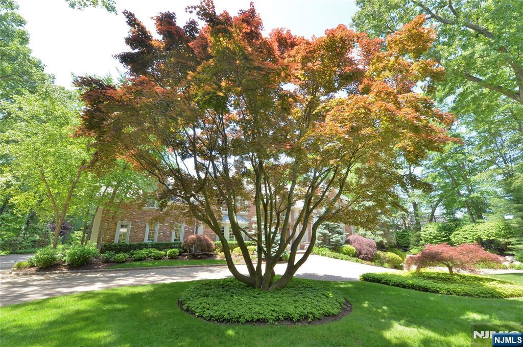 4 Baldwin Road — photo 36