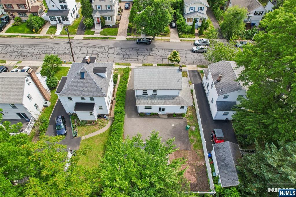 34 Cypress