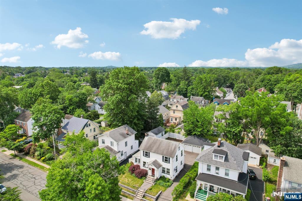 34 Cypress