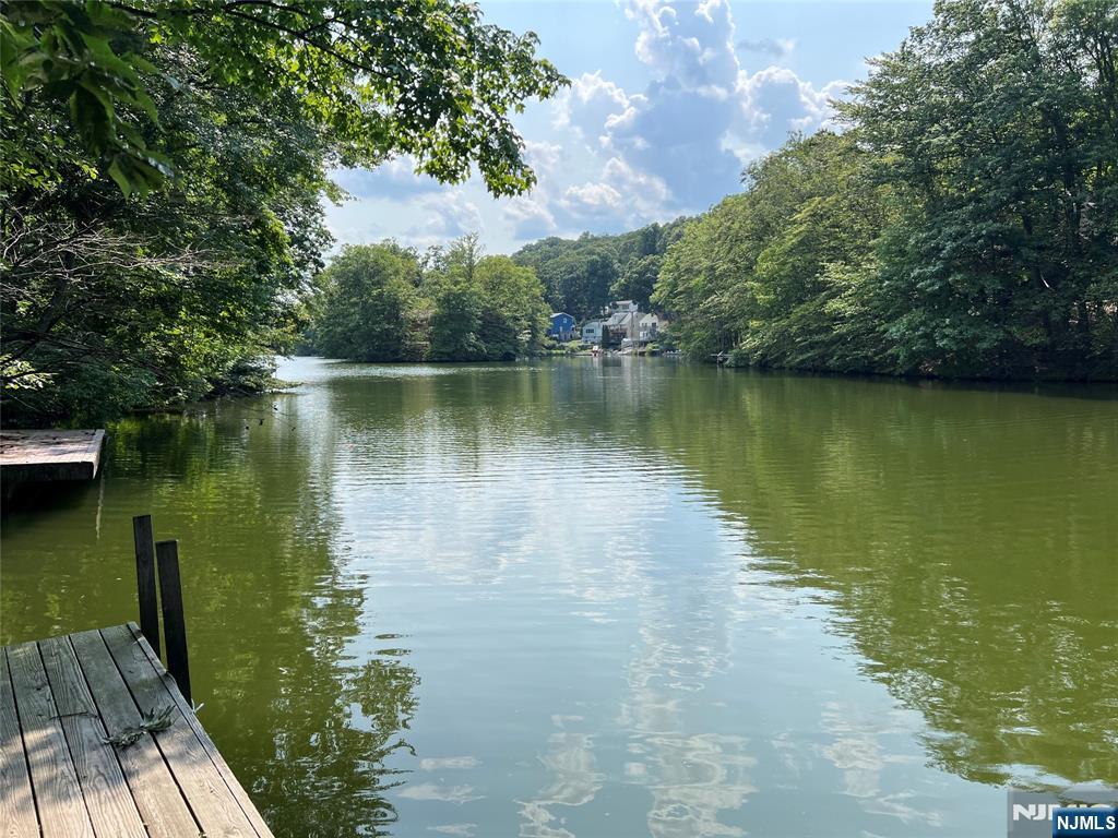 337 Skyline Lake Drive - Photo 2