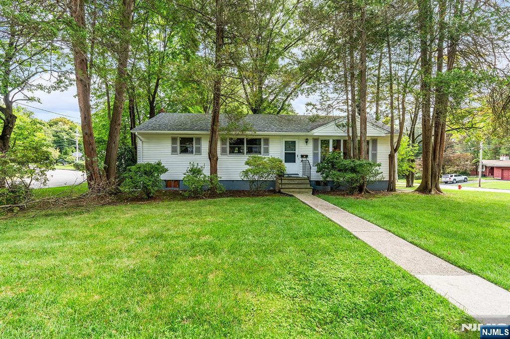 11 Mapleleaf Drive - Photo 1
