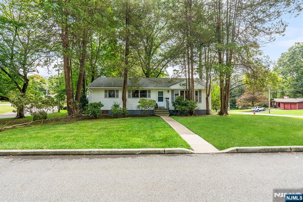 11 Mapleleaf Drive - Photo 2