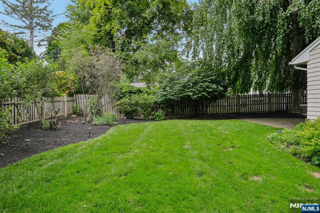 419 Hollywood Avenue - Photo 4
