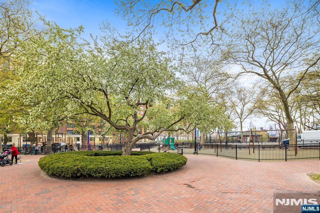 1125 Maxwell Lane #434-436 — photo 47