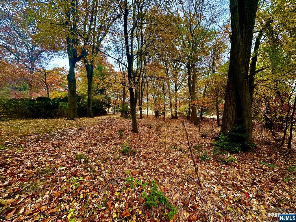 Photo 3 of Land for sale at 216 E Midland Ave, Paramus, NJ 07652 | MLS# 26035501 | Listing updated on 2026-09-18
