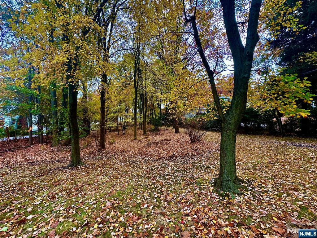 Photo 4 of Land for sale at 216 E Midland Ave, Paramus, NJ 07652 | MLS# 26035501 | Listing updated on 2026-09-18