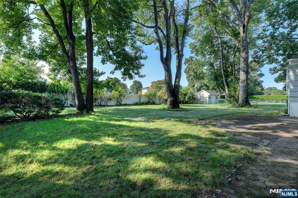 15 Jocelyn Place - Photo 4