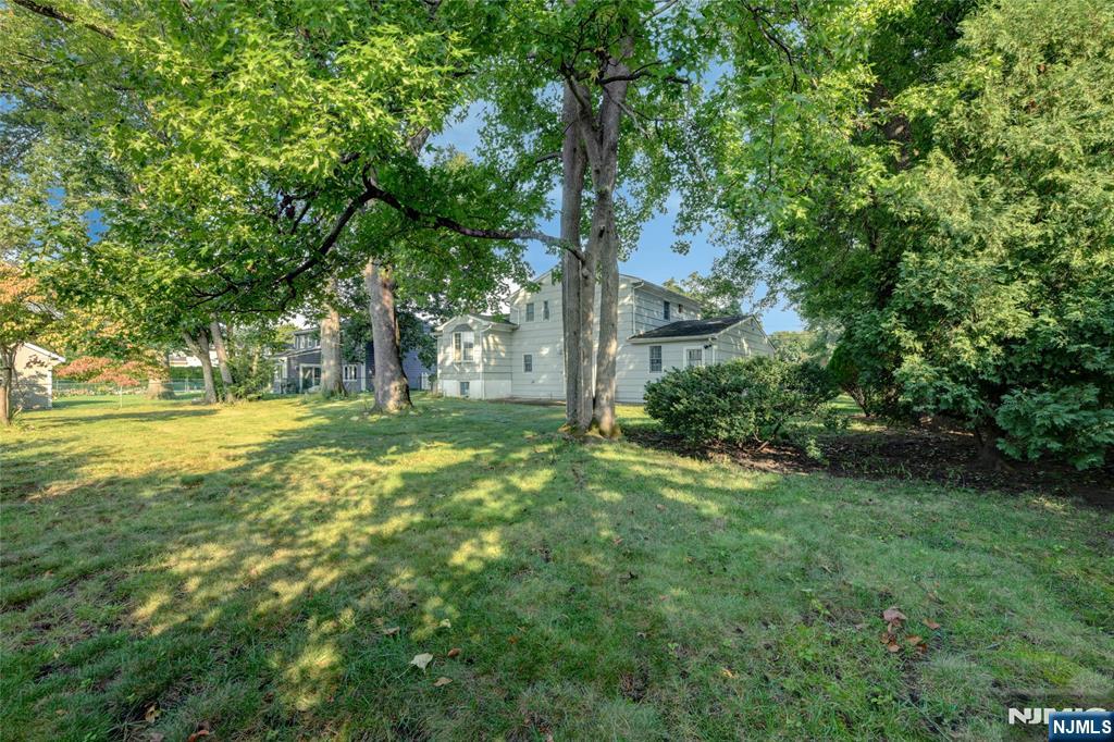 15 Jocelyn Place - Photo 5