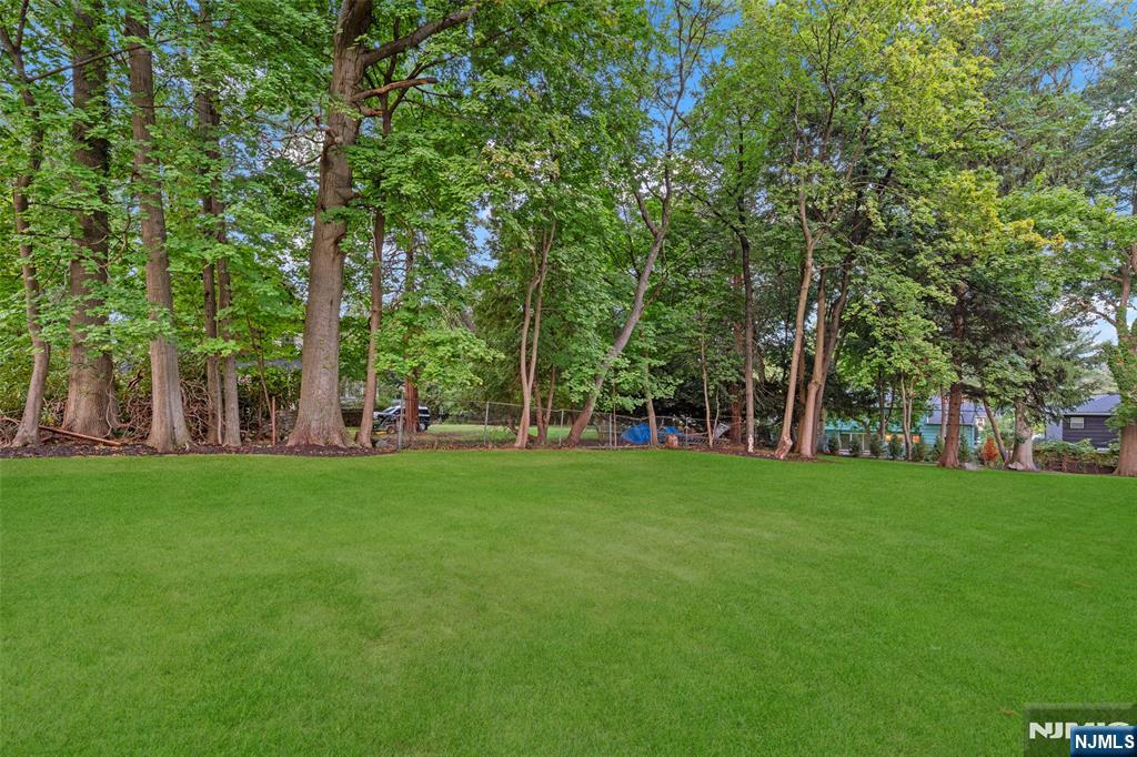 517 Park Street — photo 42