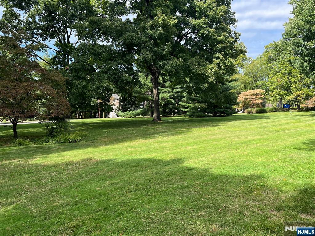 45 Dwight Place 8 - Photo 3