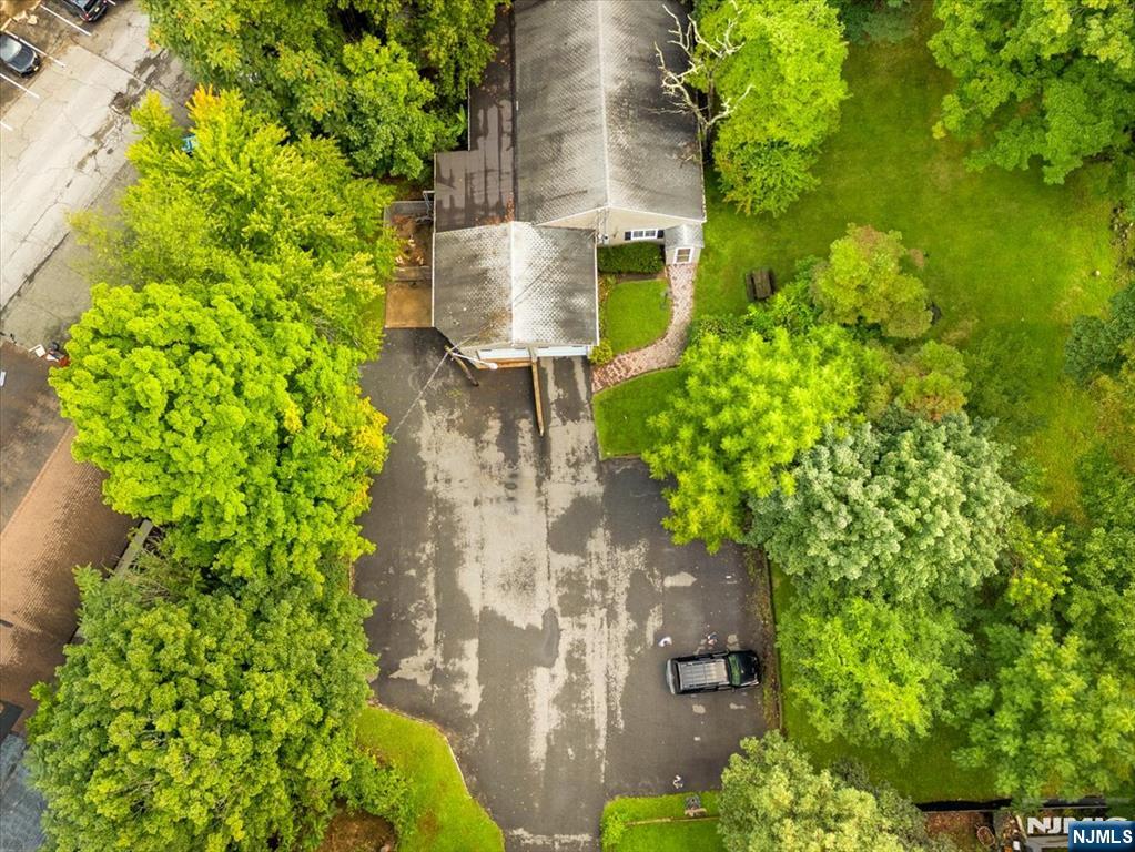 113 Harrison Avenue - Photo 5
