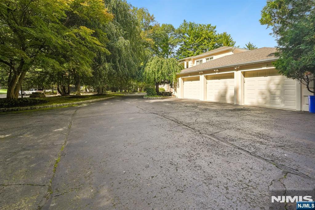 19 Scott Court — photo 32