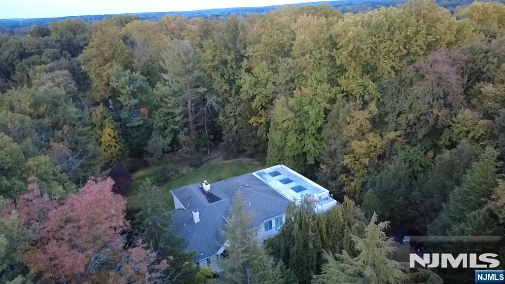 19 Scott Court — photo 40