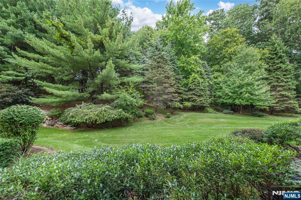 1115 Hamilton Drive - Photo 2