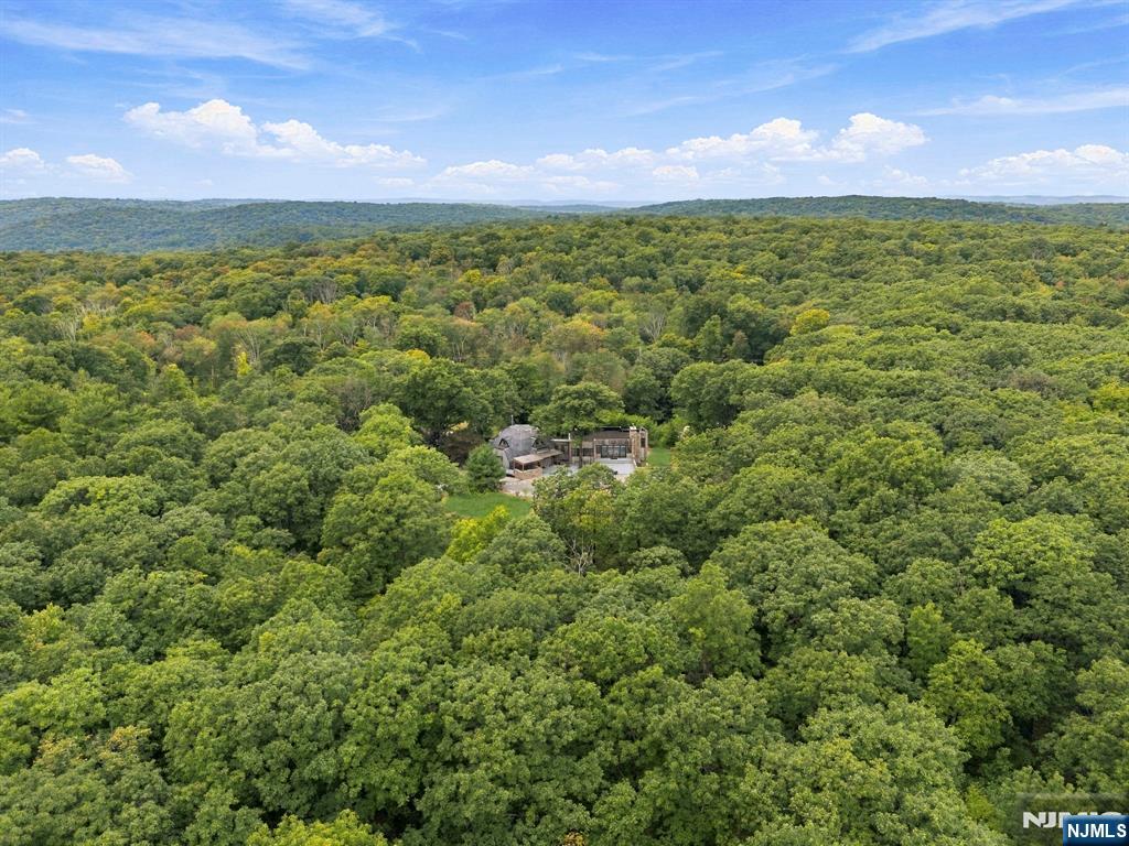 224 Holland Mt Road - Photo 4
