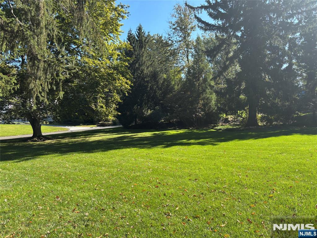 15 Duck Pond Road — photo 32
