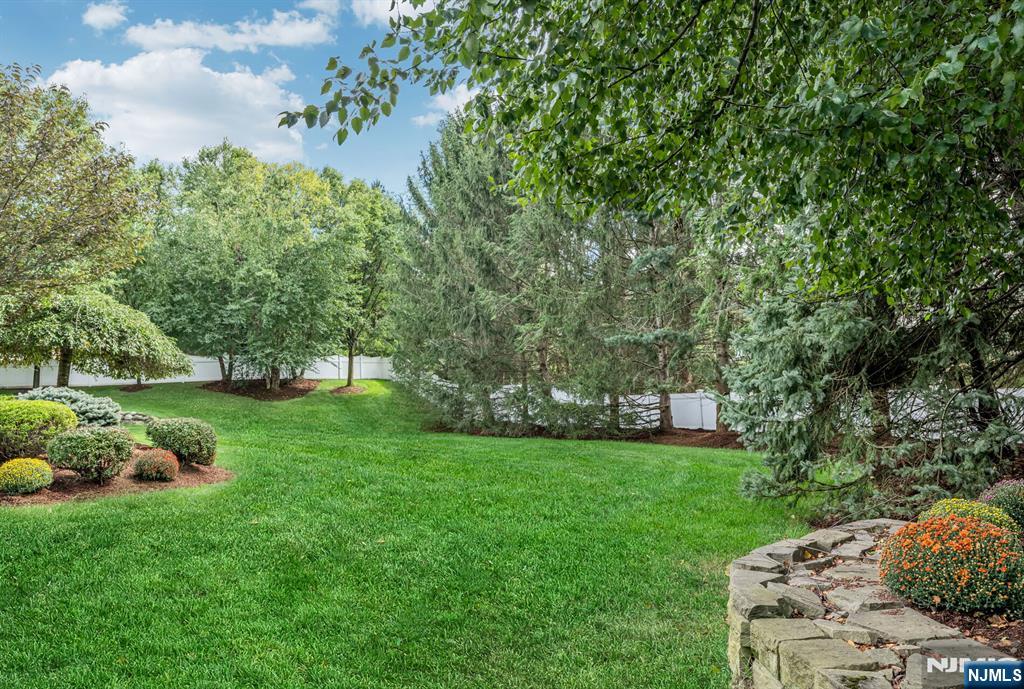 19 Mettowee Farms Court — photo 48